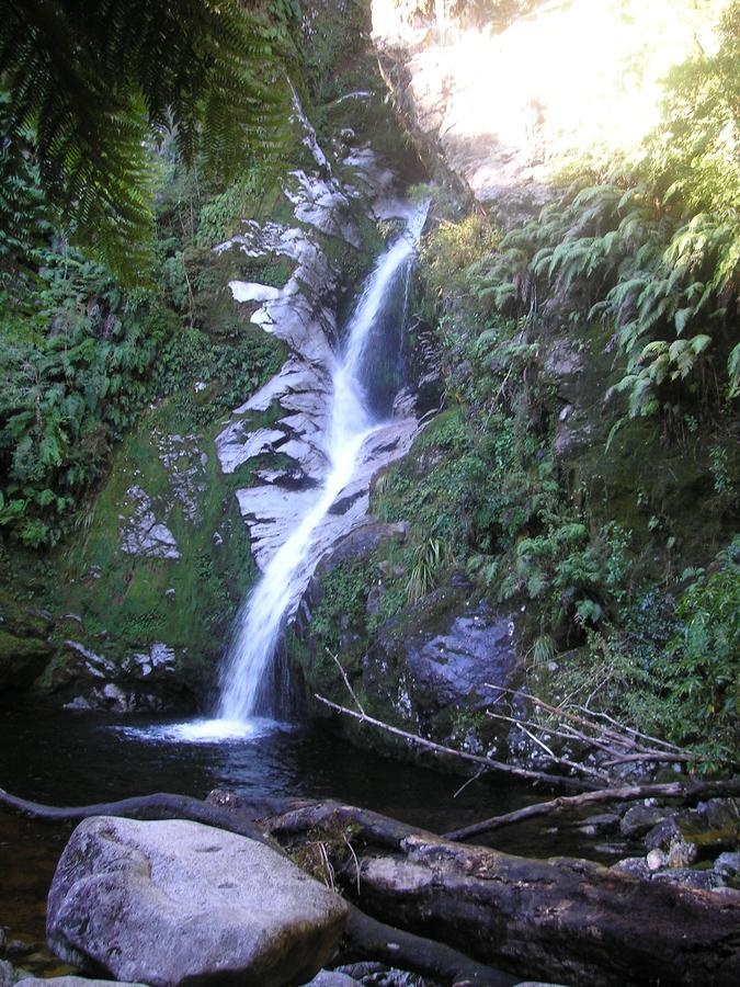 Amberlea Cottages Hokitika Exteriör bild